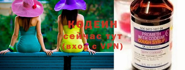 индика Вязьма