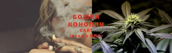 индика Вязьма