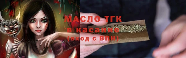 индика Вязьма