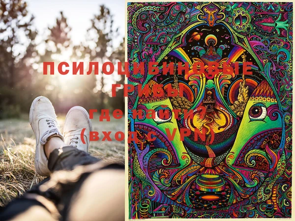крисы Вязники