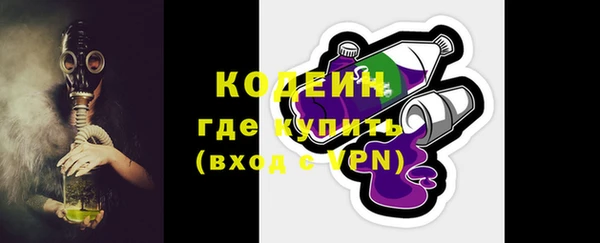 индика Вязьма