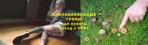 молекула духа Горнозаводск