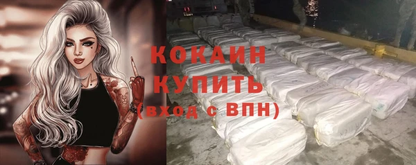 индика Вязьма
