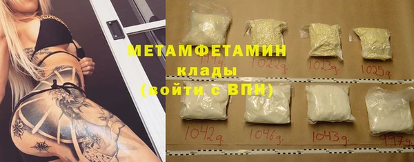 прущие грибы Волосово