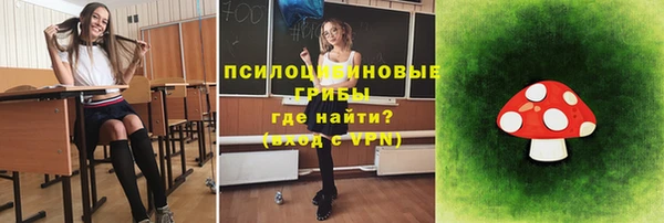 Альфа ПВП Горно-Алтайск